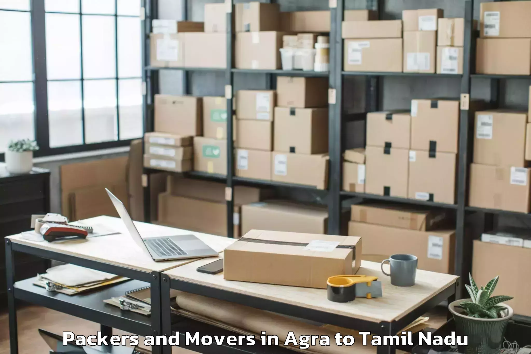 Professional Agra to Chennai Marina Mall Packers And Movers